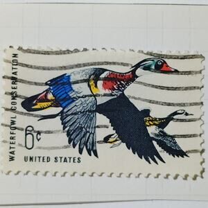 1968 US 6c Waterfowl Conservation Ducks Unlimited Stamp #1362 Used Cancelled